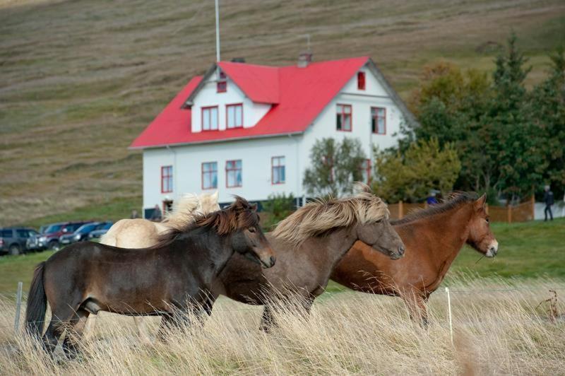 Вилла Geitaskarth Блёндюоус Экстерьер фото
